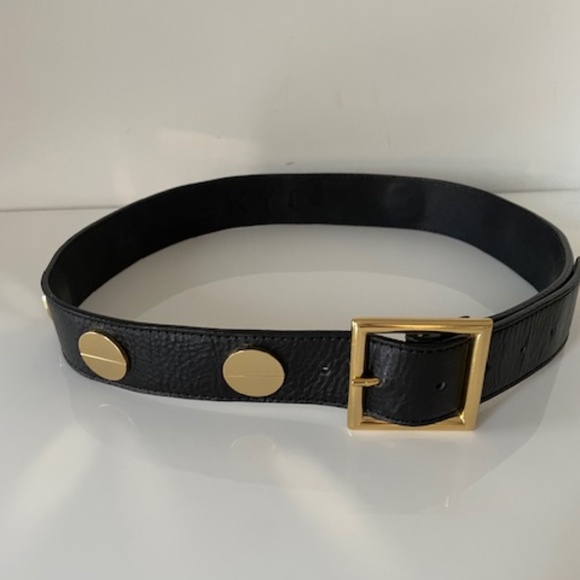 CC Skye Gold Flat Disc Hardware Black Belt main image 4